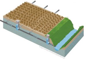 Controlled drainage during the non-growing season can retain water in the soil profile when drainage is not needed