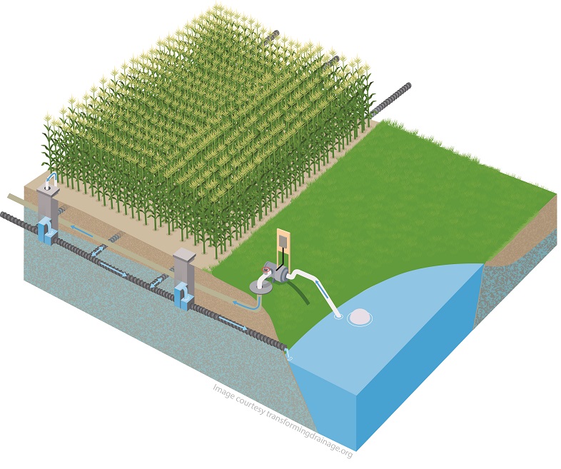 drainage-water-recycling-transforming-drainage