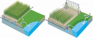 Drainage water recycling can be used to capture tile drain water in an on-farm pond or reservoir for use in subirrigation (left) or overhead irrigation (right)